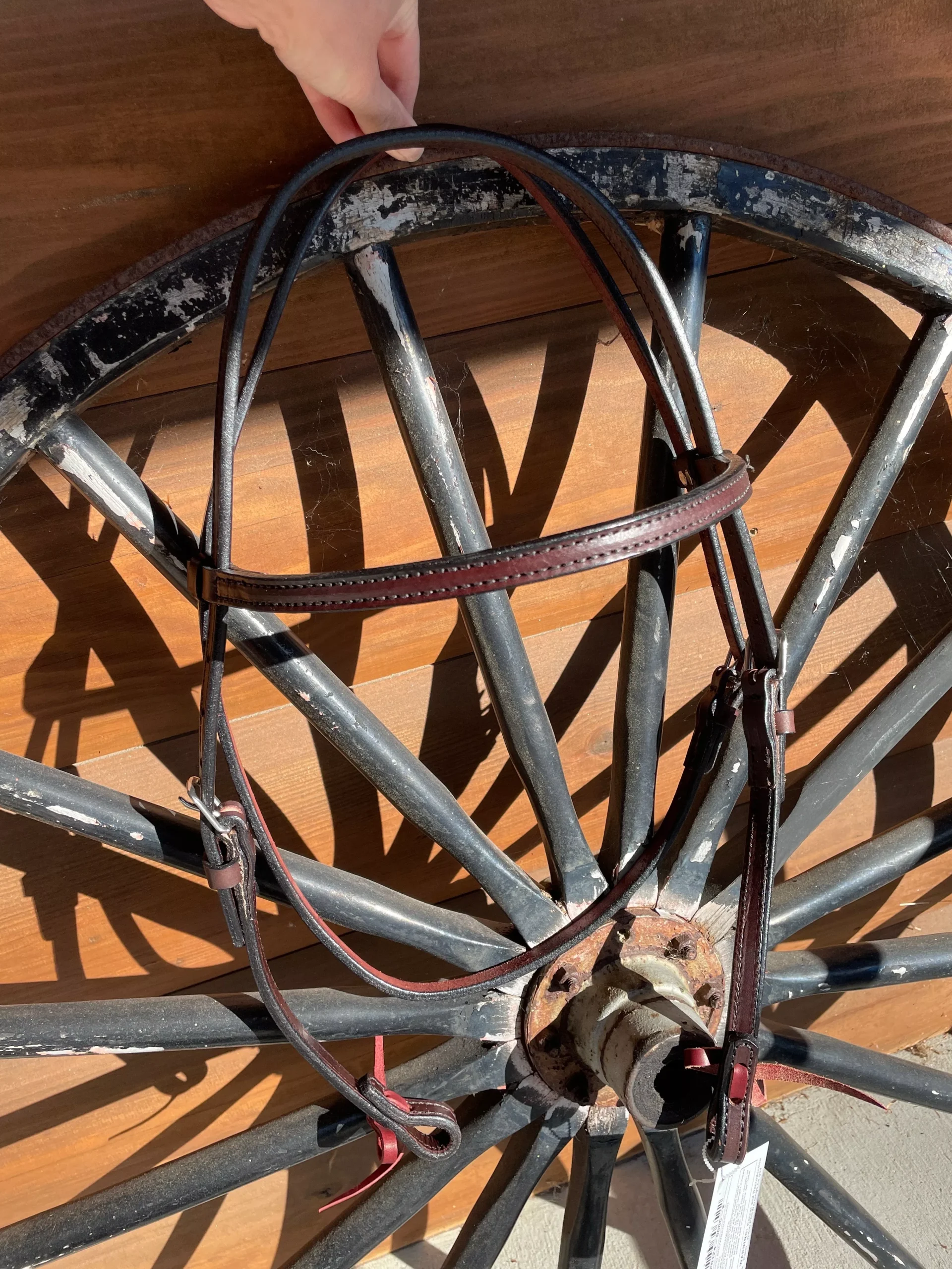 OVERSIZED Circle Y 5/8" Stitch Browband style headstall